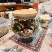 Terrario piante esotiche