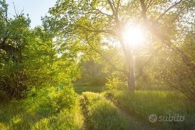 Terreno agricolo esclusivo