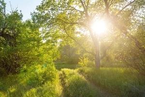 Terreno agricolo esclusivo