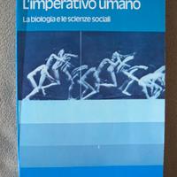 L'imperativo umano di Alexander Alland Jr.