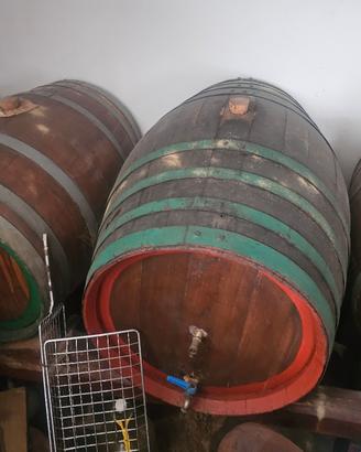 botti in rovere di varie misure