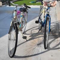 Biciclette uomo-Donna