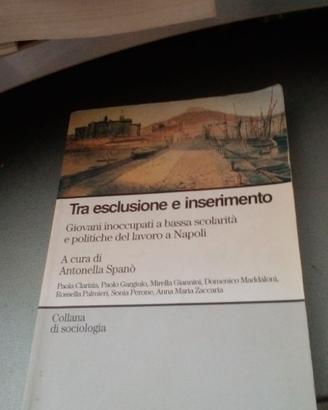 Tra esclusione e inserimento
