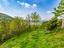 Immagine 23