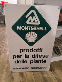 monteshell