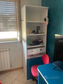 libreria bicolore