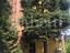 Immagine 15