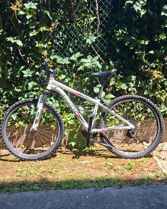 Mountain bike Eclipse Hornet TT