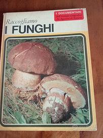 LIBRO DEI FUNGHI