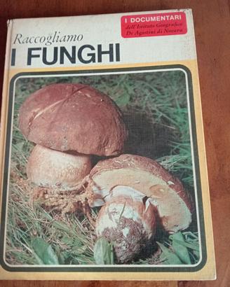 LIBRO DEI FUNGHI