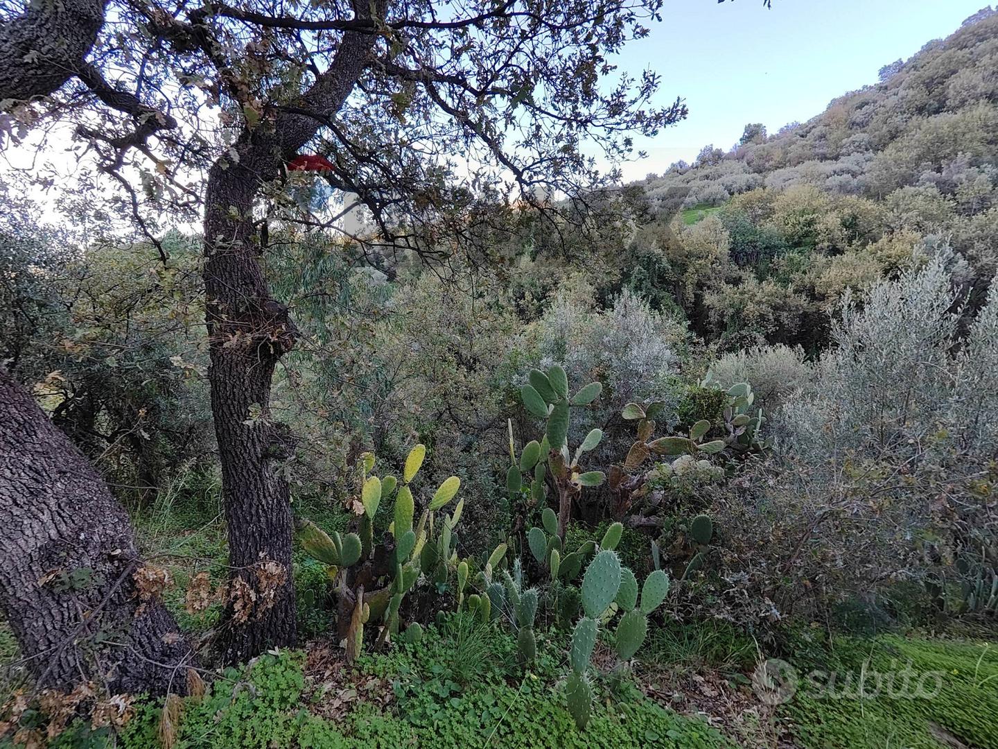 Terreno - Barcellona Pozzo di Gotto - Vista 2