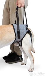 tutore/ausilio/imbragatura per cane