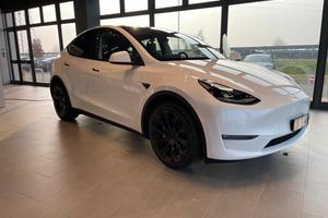 Tesla model y long range