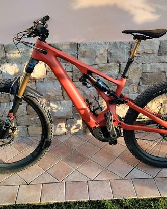 ebike specialaizer turbo pro 
