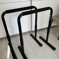 Parallele calistenics