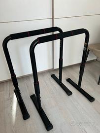 Parallele calistenics