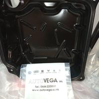 Coperchio meccatronica Volkswagen