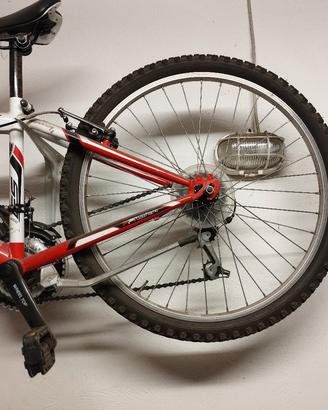 MTB 24 Montana