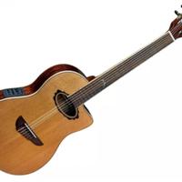 Chitarra classica Eko mia IV