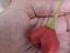 Immagine 6