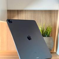 Ipad Pro M1 256GB