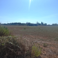 Terreno agricolo a Uggiano Montefusco