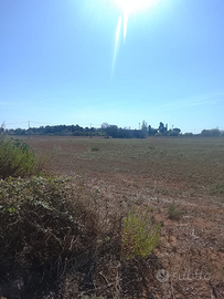 Terreno agricolo a Uggiano Montefusco
