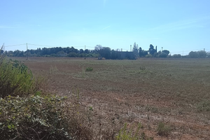 Terreno agricolo a Uggiano Montefusco