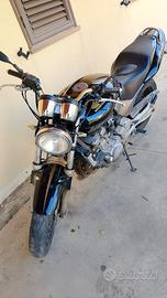 Honda Hornet 