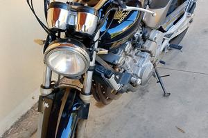 Honda Hornet 