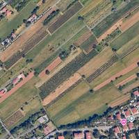 Vigneti, terreni agricoli a Gorizia e Oslavia