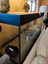 acquario 350 litri