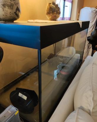 acquario 350 litri