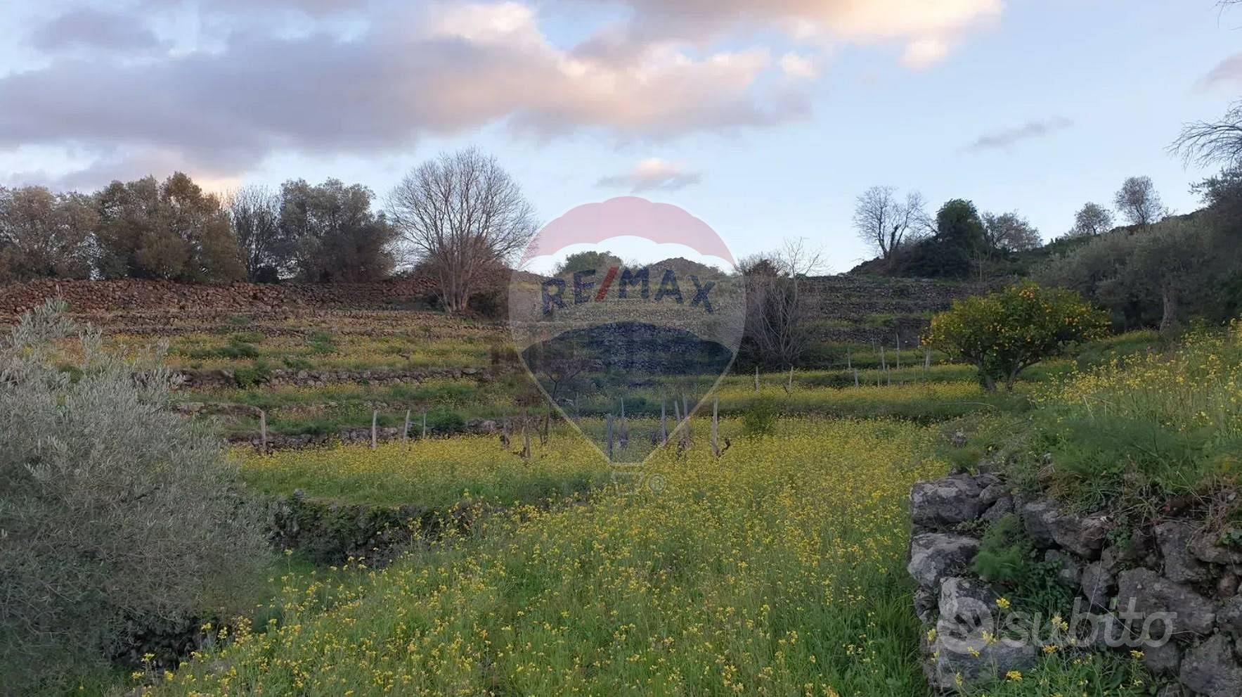 Terreno - Castiglione di Sicilia - Vista 6