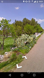 Terreno Mottola San Francesco