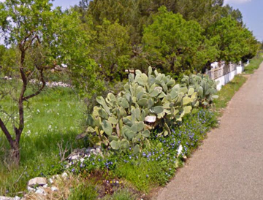 Terreno Mottola San Francesco