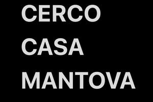 Ce.rcasi bilocale/trilocale Mantova