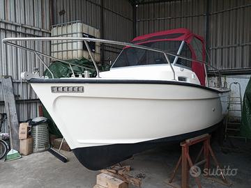 Tripesce Hippy 20 + VM 70 hp (refitting 2022)