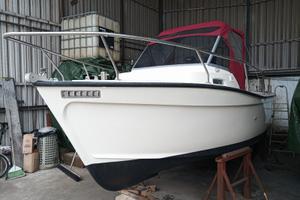 Tripesce Hippy 20 + VM 70 hp (refitting 2022)
