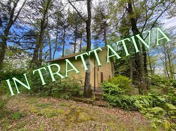 VILLA SINGOLA A CANEPINA