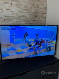 Smart tv Lg 49 pollici