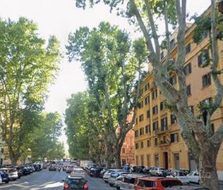Roma Prati: Trilocale 110mq in stabile d'epoca