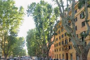 Roma Prati: Trilocale 110mq in stabile d'epoca