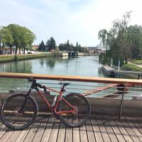 Mountain bike da 29 pollici