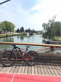 Mountain bike da 29 pollici