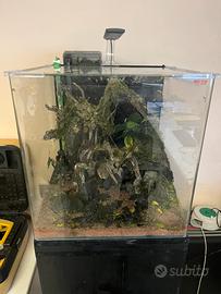 ACQUARIO+ACCESSORI (completo) PREZZO TRATTABILE