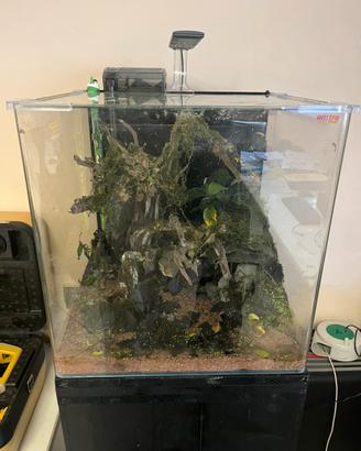 ACQUARIO+ACCESSORI (completo) PREZZO TRATTABILE