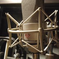 TLM 103 Neumann 