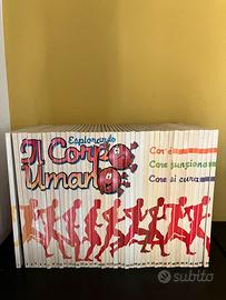 Raccolta Esplorando il corpo umano