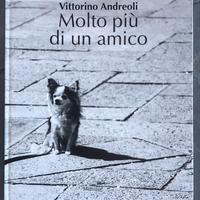 Vittorino Andreoli  molto più di un amico